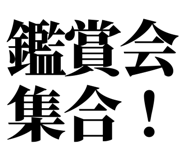 845228977