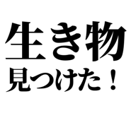 845229298