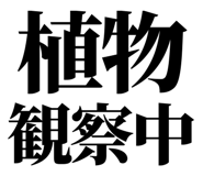 845229299
