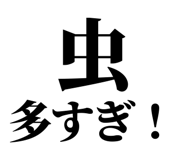 845229327