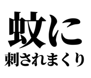 845229332