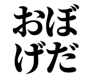 845230081