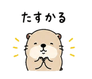 845230482