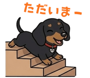 845231154
