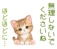 845235834