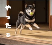 845235903