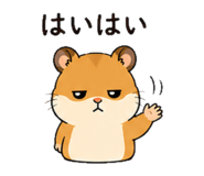 845236081