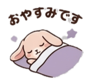 845236144