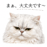 845236324