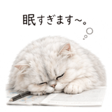845236334