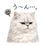 845236342