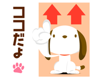 845236581