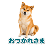 845238762