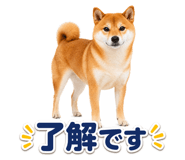 845238764