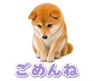 845238766