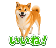 845238767
