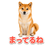 845238768