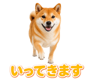 845238769