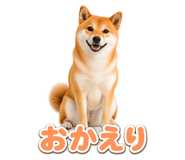 845238770