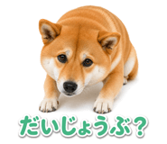 845238771