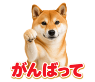 845238772