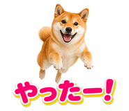 845238773