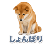 845238774