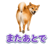 845238776