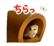 845238784