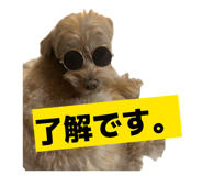 845240324
