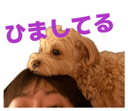 845240342