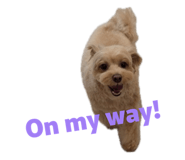 845240352