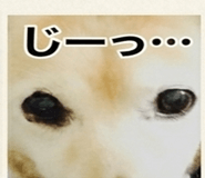 845241035