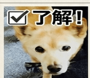 845241038
