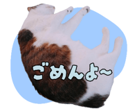 845243064