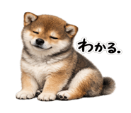 845243879