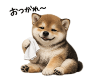 845243881