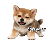 845243883