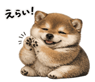 845243900