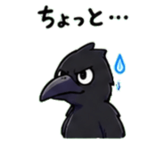 845243958