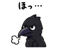 845243962