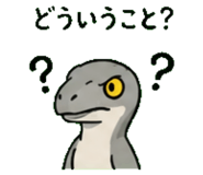 845244084