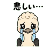 845244161