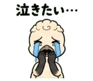 845244162