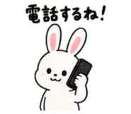 845244341