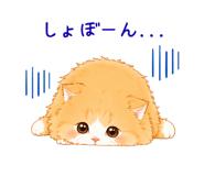 845244355