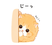 845244356