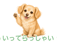 845245138