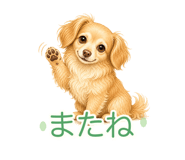 845245141