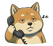 845245681